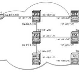 Manual: BGP based VPLS